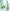 Royallines - Clarifying Balancing Tea Tree Oil & Amino Acid Conditioner